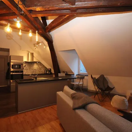 公寓 Mont-dore: Beau T3 Bis Hyper Centre Avec Wifi - Fr-1-608-42