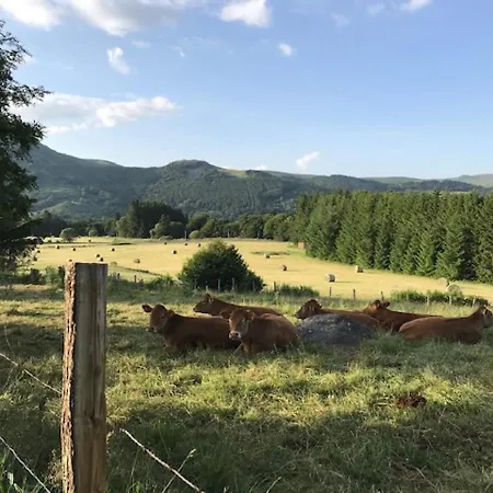 Mont-dore: Beau T3 Bis Hyper Centre Avec Wifi - Fr-1-608-42 公寓 勒蒙多尔