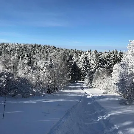 Appartamento Mont-dore: Beau T3 Bis Hyper Centre Avec Wifi - Fr-1-608-42