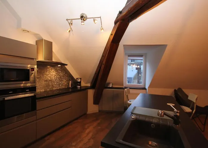 Apartamento Mont-dore: Beau T3 Bis Hyper Centre Avec Wifi - Fr-1-608-42 Mont-Dore