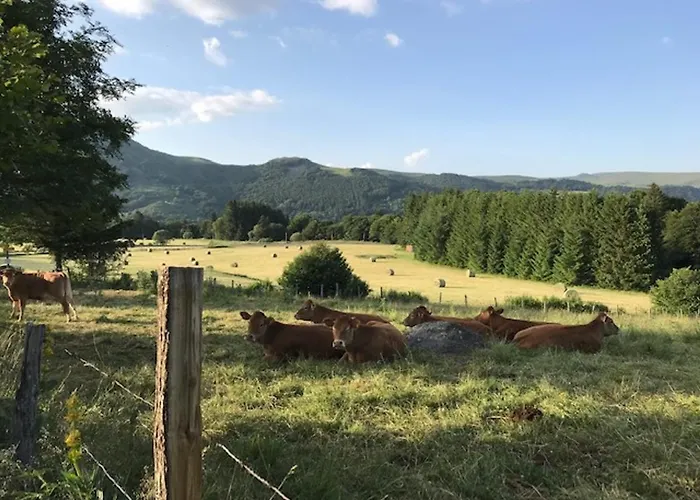 Mont-dore: Beau T3 Bis Hyper Centre Avec Wifi - Fr-1-608-42 Apartamento Mont-Dore