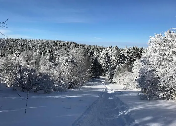 Apartamento Mont-dore: Beau T3 Bis Hyper Centre Avec Wifi - Fr-1-608-42